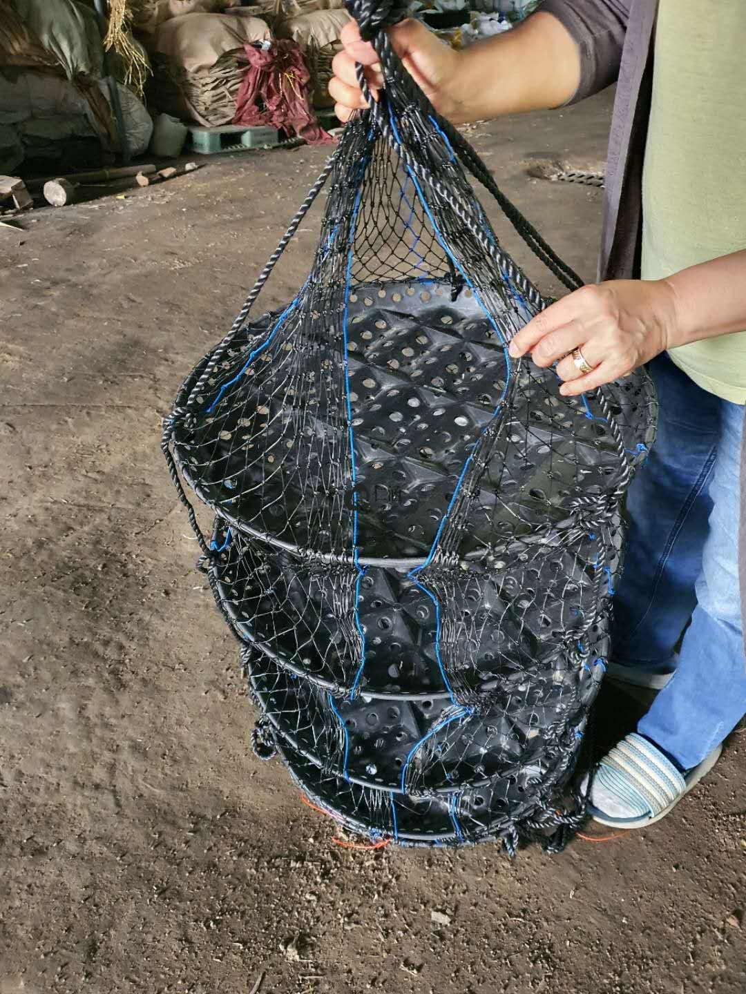 外國客戶用成養(yǎng)籠